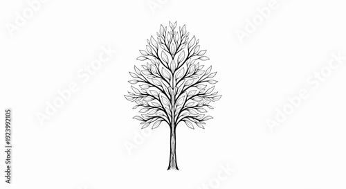 Stylized black and white drawing of a deciduous tree with many leaves