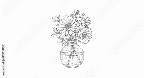 Sketch of daisies in a round glass vase with water