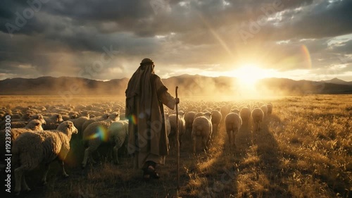 Shepherd in a traditional robe with a staff walks guiding a large flock of sheep in a grassy field at sunset illustrating pastoral life and religious biblical leadership concepts