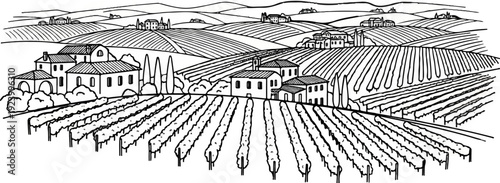 Stylized drawing of rolling hills dotted with vineyards and quaint buildings