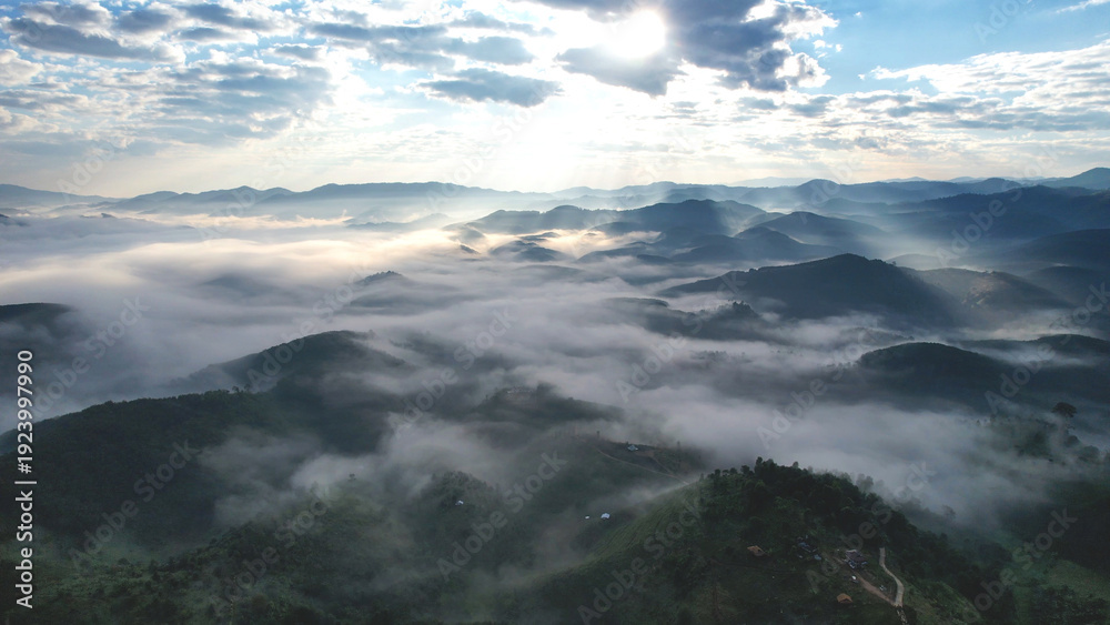 Fototapeta premium Aerial view of mountains and forest with the sea of fog before sunrise by drone