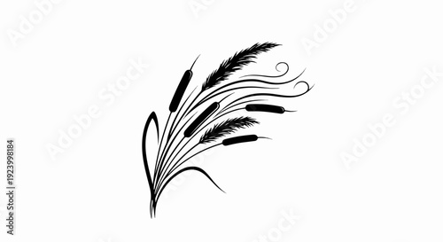 Stylized black reeds and cattails with swirling lines on white