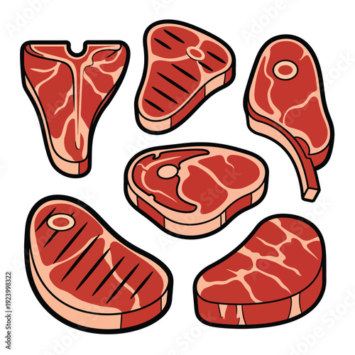 Assorted raw meat steaks illustration on a clean white background from a direct viewpoint