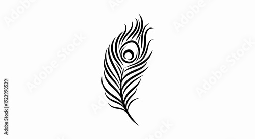 Stylized black peacock feather with an eye shape on a white background