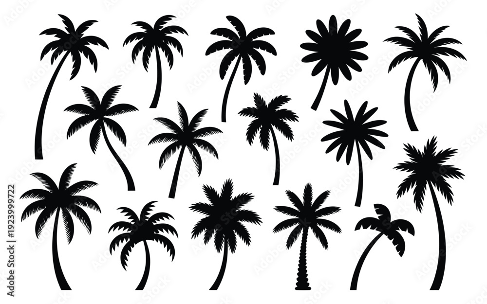 Fototapeta premium Collection of black palm tree silhouettes on white background tropical plants palm trees for design and decoration