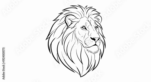 Stylized black and white outline drawing of a majestic lion's head and mane