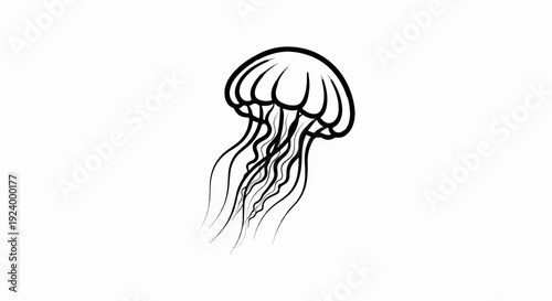 Stylized black outline drawing of a jellyfish floating downwards