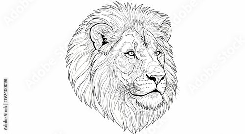 Stylized black and white outline drawing of a majestic lion's head with flowing mane