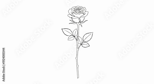 Stylized black ink drawing of a single rose with leaves on a white background