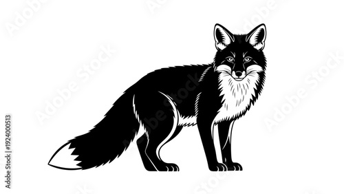 Black and white cartoon fox standing.