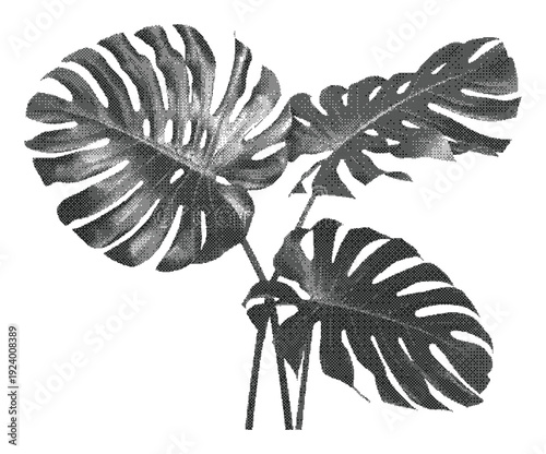 Monstera halftone dither tropical split leaf illustration with detailed botanical texture