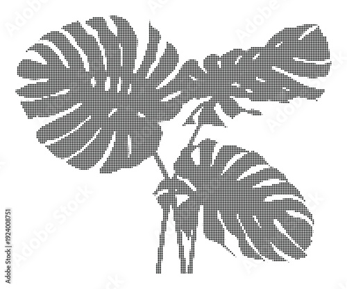 Monstera halftone dither botanical illustration of large split leaves in decorative composition
