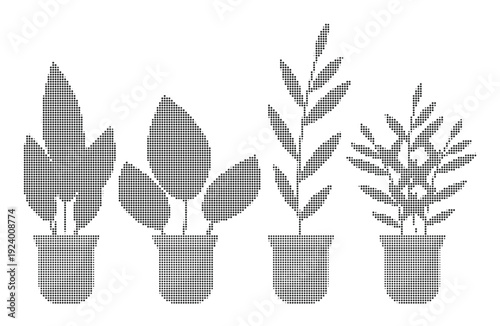 Plant halftone dither illustration of potted indoor houseplant collection with decorative foliage