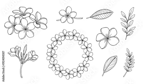 Frangipani flower outline vector illustration set with hand drawn tropical floral designs for coloring
