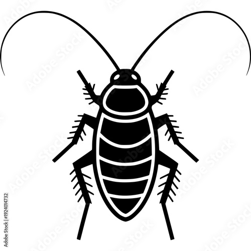 Black and white cockroach vector illustration isolated on a white background