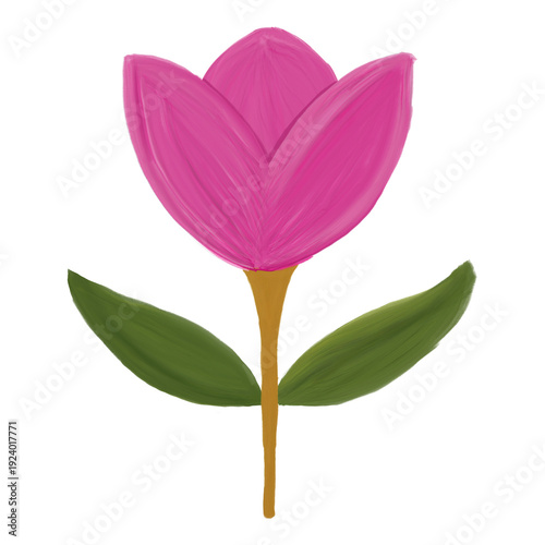 Hand painted pink tulip flower illustration with green leaves, isolated on a white background. Simple elegant floral design ideal for spring themes. Texture of oil paint