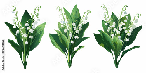 Three delicate bouquets of lily of the valley with green leaves