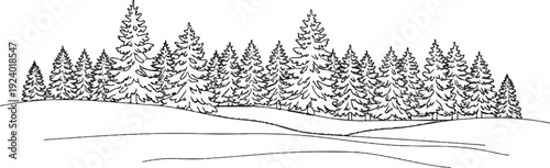 Stylized line art depicts a dense evergreen forest on a snowy landscape