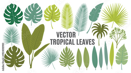 A collection of various tropical leaves in different shades of green