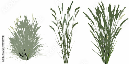 Three stylized arrangements of green and yellow wild grasses are displayed