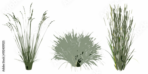 Three clumps of stylized green grasses and foliage on white background