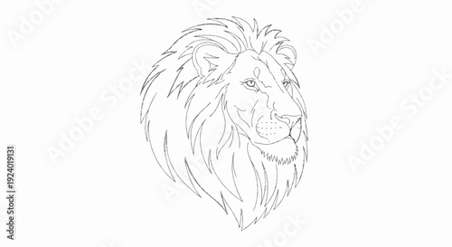 Stylized line art portrait of a lion's head with a majestic mane