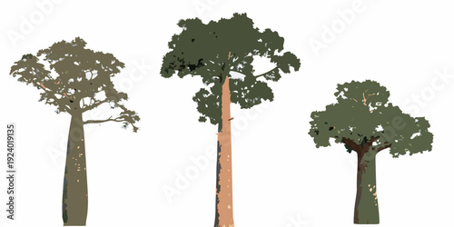 Three stylized trees with varying heights and foliage are shown