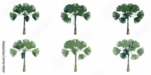 Six stylized fan palms arranged in a grid on a white background