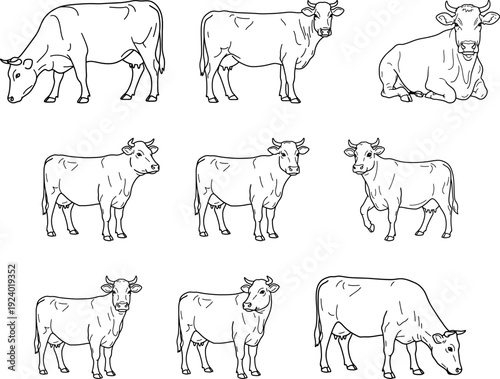 Cow Line Art Vector Set for Coloring Book or Logo