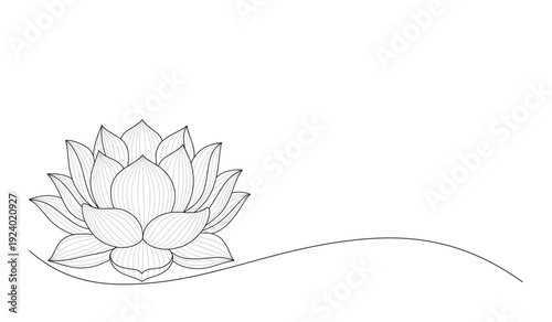 Minimal Lotus Flower Line Art Illustration on transparent Background