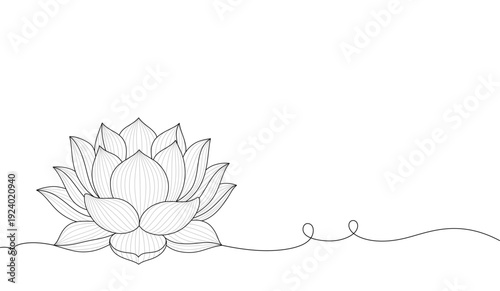 Minimal Lotus Flower Line Art Illustration on transparent Background