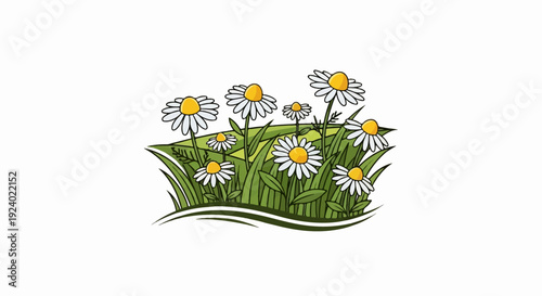 Whimsical cartoon daisies bloom vibrantly in lush green grass
