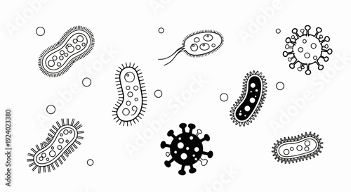Various microscopic organisms and cellular structures depicted in black and white line art