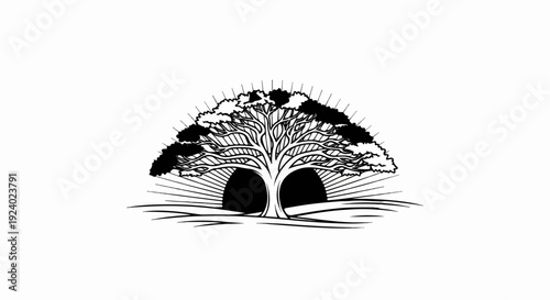Stylized tree with dark canopy behind radiating lines