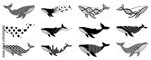Collection of creative abstract whale silhouettes with geometric and floral patterns