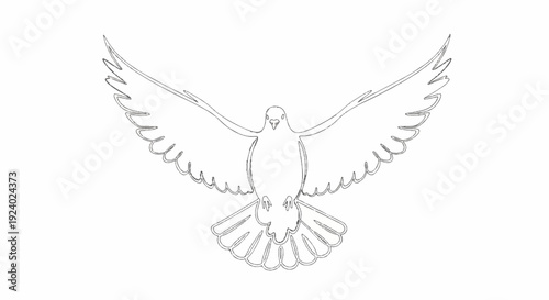 Stylized sketch of a dove in mid-flight with wings outstretched