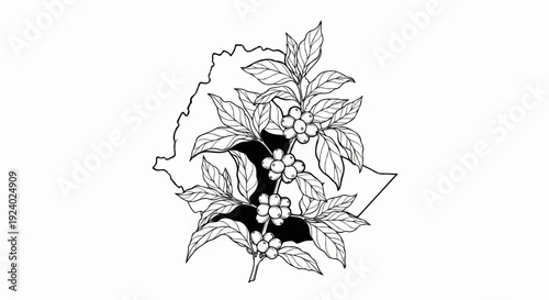 Stylized outline of Ethiopia with a coffee plant branch