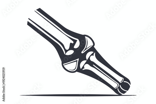 Dark monochrome knee joint showcases detailed human anatomy and bone structure