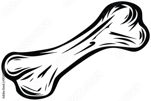 A detailed, outlined bone is displayed diagonally against a clean white seamless background