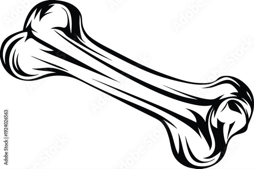 Detailed bone in simple black and white art is isolated on white
