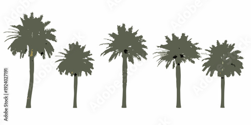 A row of five stylized palm trees against a white background