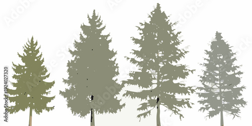 Four stylized evergreen trees in varying shades of green and gray