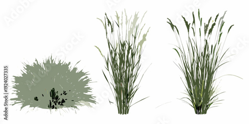 Stylized illustration of various grasses and foliage in green hues