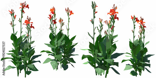 A collection of vibrant orange and green canna lily plants