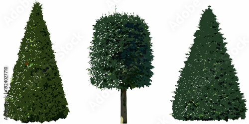 Three stylized evergreen trees isolated on a white background