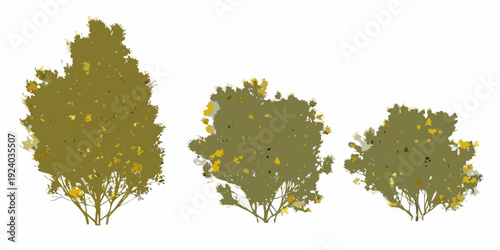 Three stylized bushes with yellow flowers arranged by decreasing size