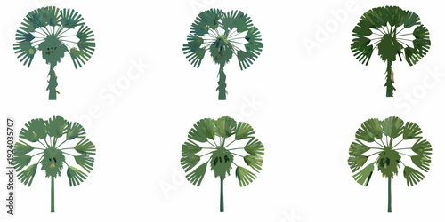 Six stylized palmetto trees arranged in a grid on a white background