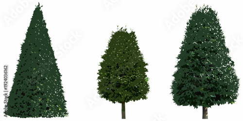 Three stylized evergreen trees of varying heights stand against white