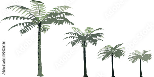 Quadro su tela A series of green palm trees diminishing in size isolated on white