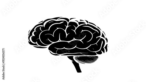 Human brain anatomy silhouette icon, side view, isolated on white background.